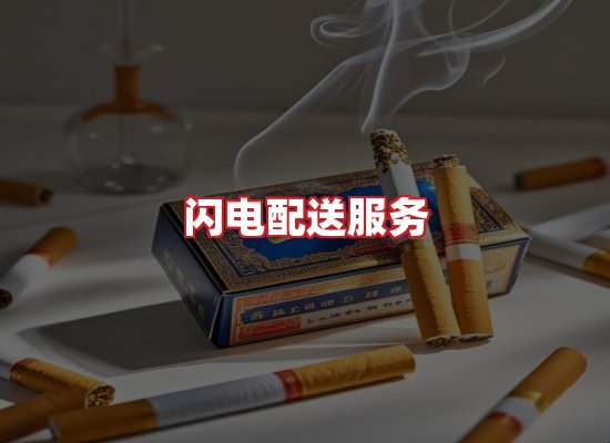 专业团队